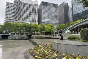 Tokyo: Private Tour of the Imperial Palace East Gardens