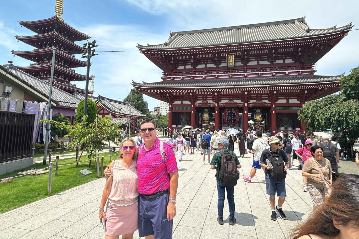 Tokyo: Privat dagsomvisning i Tokyo med engelsktalende sjåfør