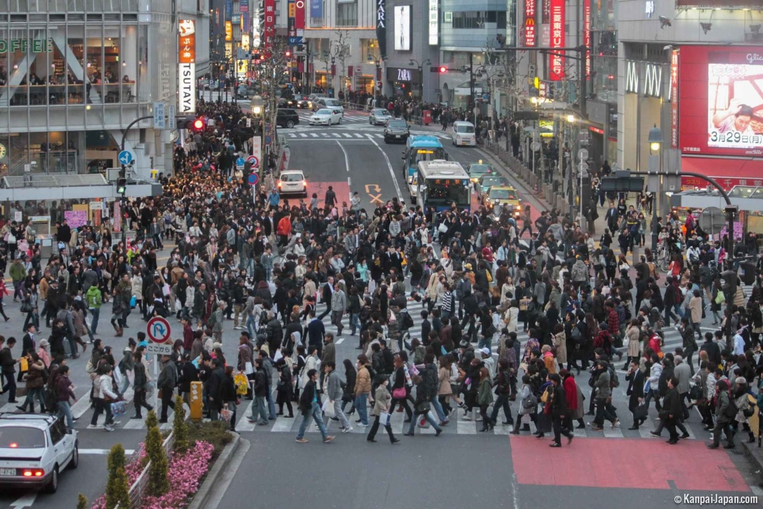 Tokyo: Privat dagsomvisning i Tokyo med engelsktalende sjåfør