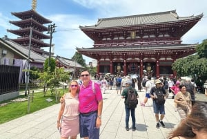 Tokyo: Privat dagsomvisning i Tokyo med engelsktalende sjåfør