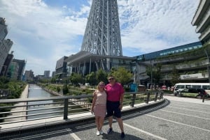 Tokyo: Privat dagsomvisning i Tokyo med engelsktalende sjåfør