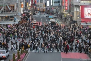 Tokyo: Privat dagsomvisning i Tokyo med engelsktalende sjåfør