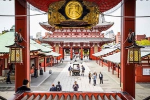 Tokyo: Privat dagsomvisning i Tokyo med engelsktalende sjåfør