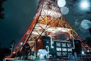 Tokyo: Privat dagsomvisning i Tokyo med engelsktalende sjåfør