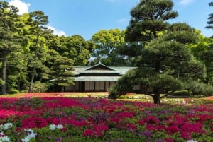 Tokyo: Privat dagsomvisning i Tokyo med engelsktalende sjåfør