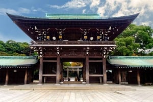 Tokyo: Privat dagsomvisning i Tokyo med engelsktalende sjåfør