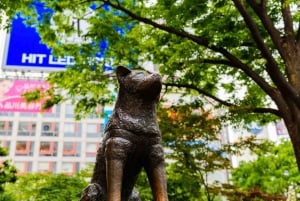 Tokyo: Privat dagsomvisning i Tokyo med engelsktalende sjåfør