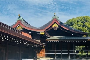 Tokyo: Privat dagsomvisning i Tokyo med engelsktalende sjåfør