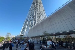 Tokyo: Privat dagsomvisning i Tokyo med engelsktalende sjåfør