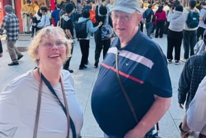 Tokyo: Privat dagsomvisning i Tokyo med engelsktalende sjåfør