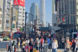 Tokyo: Privat dagsomvisning i Tokyo med engelsktalende sjåfør