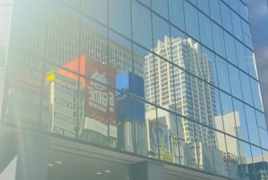 Tokyo: Privat dagsomvisning i Tokyo med engelsktalende sjåfør