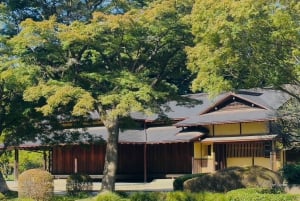 Tokyo: Privat dagsomvisning i Tokyo med engelsktalende sjåfør