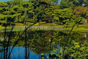 Tokyo: Privat dagsomvisning i Tokyo med engelsktalende sjåfør