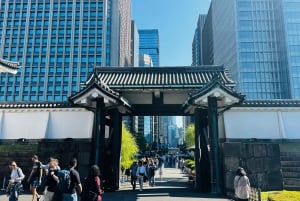 Tokyo: Privat dagsomvisning i Tokyo med engelsktalende sjåfør