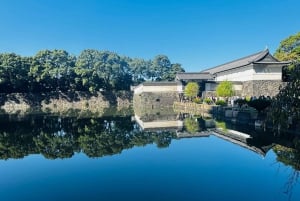 Tokyo: Privat dagsomvisning i Tokyo med engelsktalende sjåfør