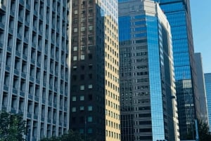 Tokyo: Privat dagsomvisning i Tokyo med engelsktalende sjåfør