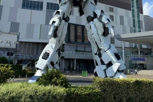 Tokyo: Privat dagsomvisning i Tokyo med engelsktalende sjåfør