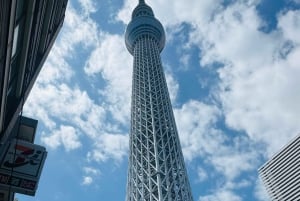 Tokyo: Privat dagsomvisning i Tokyo med engelsktalende sjåfør