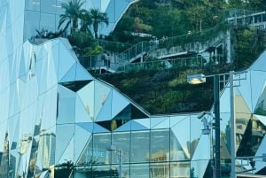 Tokyo: Privat dagsomvisning i Tokyo med engelsktalende sjåfør