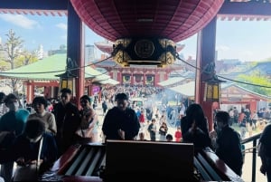 Tokyo: Privat dagsomvisning i Tokyo med engelsktalende sjåfør