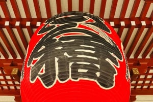 Tokyo: Privat dagsomvisning i Tokyo med engelsktalende sjåfør