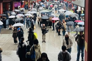 Tokyo: Privat dagsomvisning i Tokyo med engelsktalende sjåfør