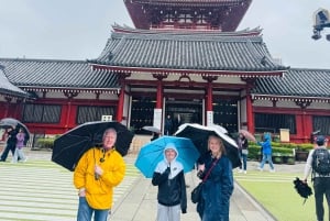 Tokyo: Privat dagsomvisning i Tokyo med engelsktalende sjåfør