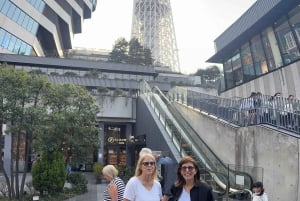 Tokyo: Privat dagsomvisning i Tokyo med engelsktalende sjåfør