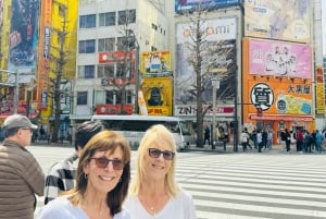 Tokyo: Privat dagsomvisning i Tokyo med engelsktalende sjåfør