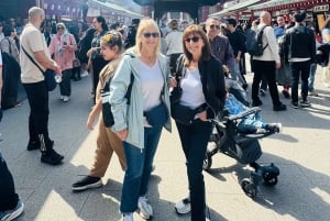 Tokyo: Privat dagsomvisning i Tokyo med engelsktalende sjåfør