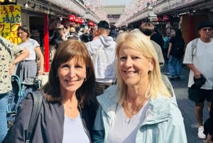 Tokyo: Privat dagsomvisning i Tokyo med engelsktalende sjåfør
