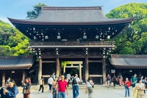 Tokyo: Privat dagsomvisning i Tokyo med engelsktalende sjåfør