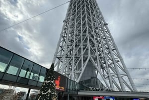 Tokyo Private Sightseeing Tour W/English Speaking Driver