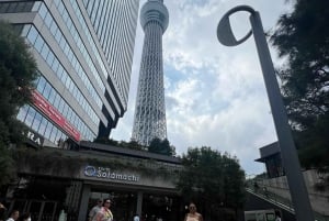 Tokyo Private Sightseeing Tour W/English Speaking Driver