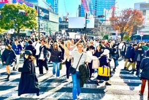 Tokyo: Full Course Tour: Udforsk 10 must-sees og skjulte perler