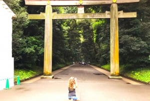 Tokyo: Full Course Tour: Udforsk 10 must-sees og skjulte perler