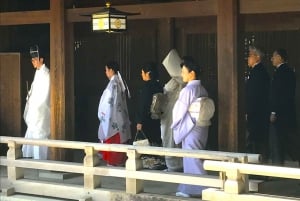 Tokyo: Full Course Tour: Udforsk 10 must-sees og skjulte perler