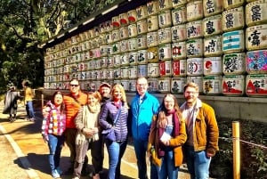 Tokyo: Full Course Tour: Udforsk 10 must-sees og skjulte perler