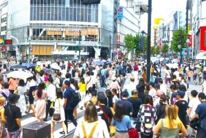 Tokyo: Full Course Tour: Udforsk 10 must-sees og skjulte perler