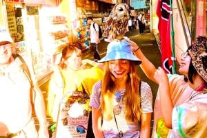 Tokyo: Full Course Tour: Udforsk 10 must-sees og skjulte perler