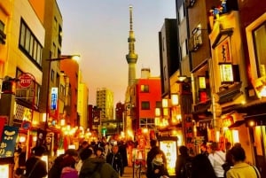 Tokyo: Full Course Tour: Udforsk 10 must-sees og skjulte perler