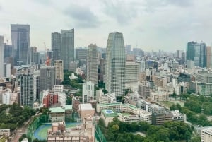 Tokyo Tower: Admission Ticket