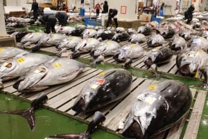 Tokyo: Toyosu tonfiskauktion + skaldjursfrukost/promenad i Tsukiji