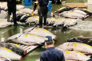 Tokyo: Toyosu tonfiskauktion + skaldjursfrukost/promenad i Tsukiji