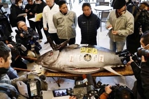 Tokyo: Toyosu tonfiskauktion + skaldjursfrukost/promenad i Tsukiji