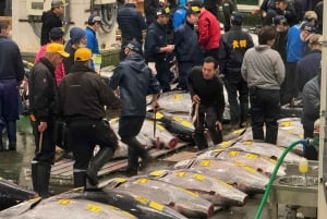 Tokyo: Toyosu tonfiskauktion + skaldjursfrukost/promenad i Tsukiji