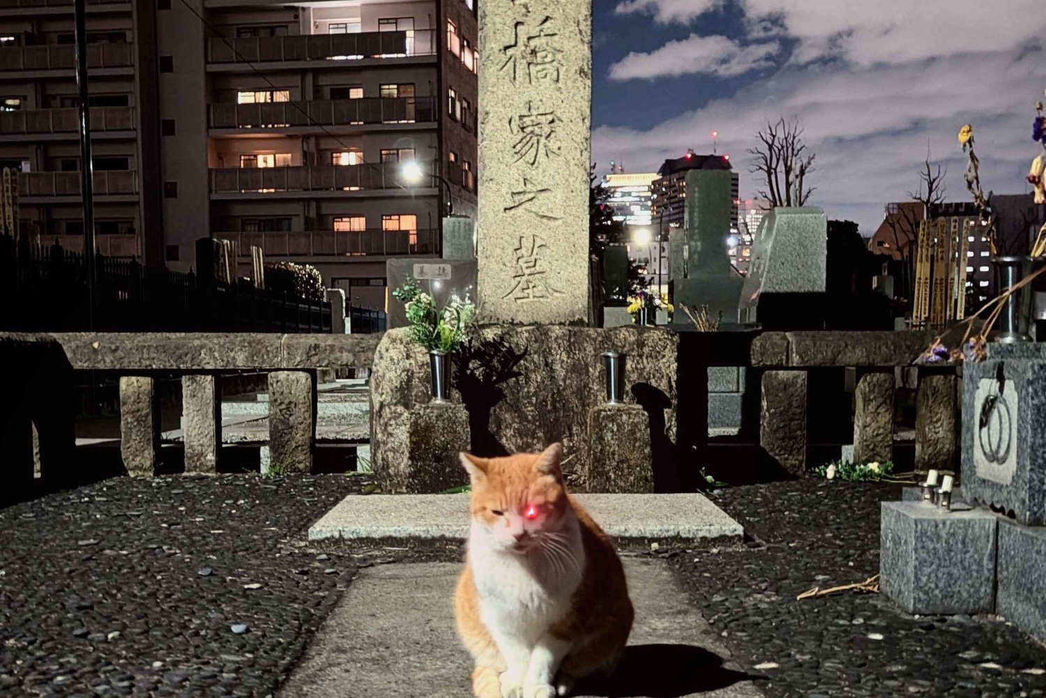 Tokio: True Crime And Ghost Stories Tour