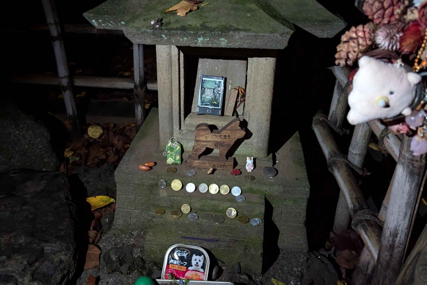 Tokio: True Crime And Ghost Stories Tour