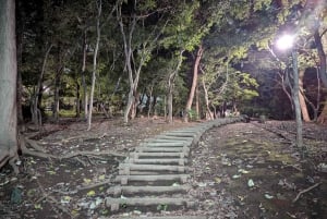 Tokyo - Sanna brott och spökhistorier True Crime och spökhistorier spökvandring